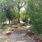 Perky Roses Home, Mountain Meets Sea In Milies, Pelion *