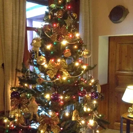 Perky Roses Home, Mountain Meets Sea In Milies, Pelion *