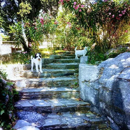 Perky Roses Home, Mountain Meets Sea In Milies, Pelion *