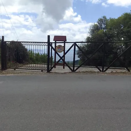 Perky Roses Home, Mountain Meets Sea In Milies, Pelion Miléai