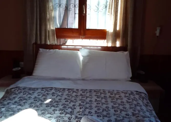 Perky Roses Home, Mountain Meets Sea In Milies, Pelion *