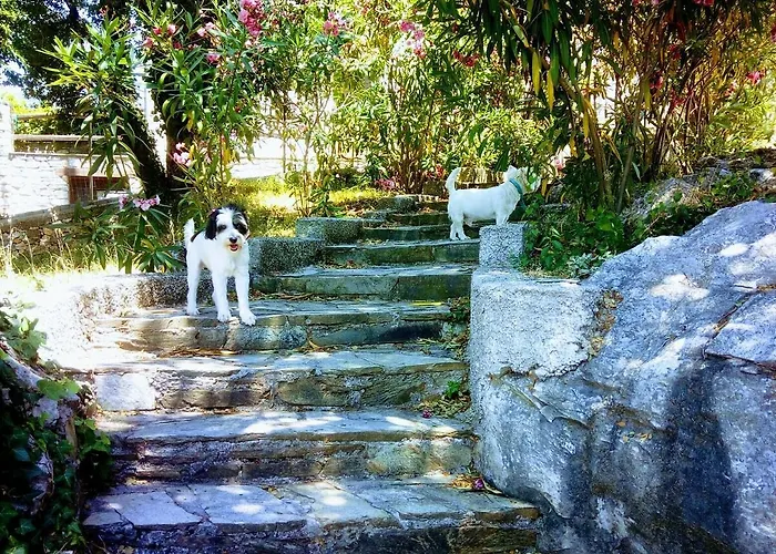 Perky Roses Home, Mountain Meets Sea In Milies, Pelion *